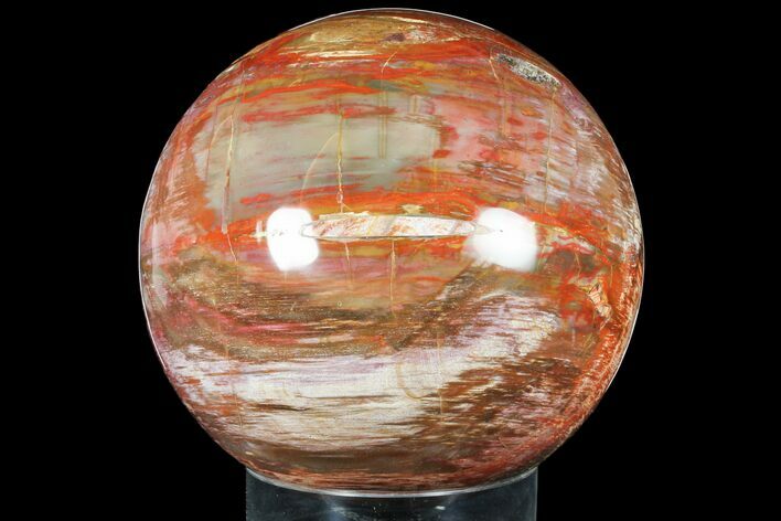 Massive, Colorful Petrified Wood Sphere - Madagascar #133676